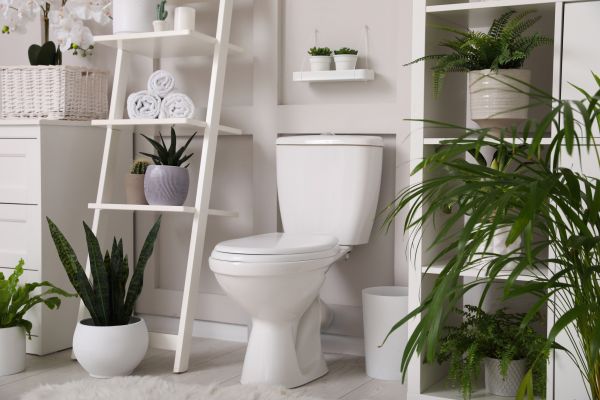 Toilet Repair in Spanish Fork